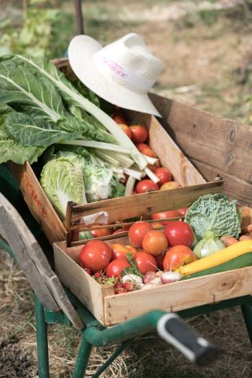 Legumes du Potager, , auberge restaurant var, Saint-Antonin-du-Var