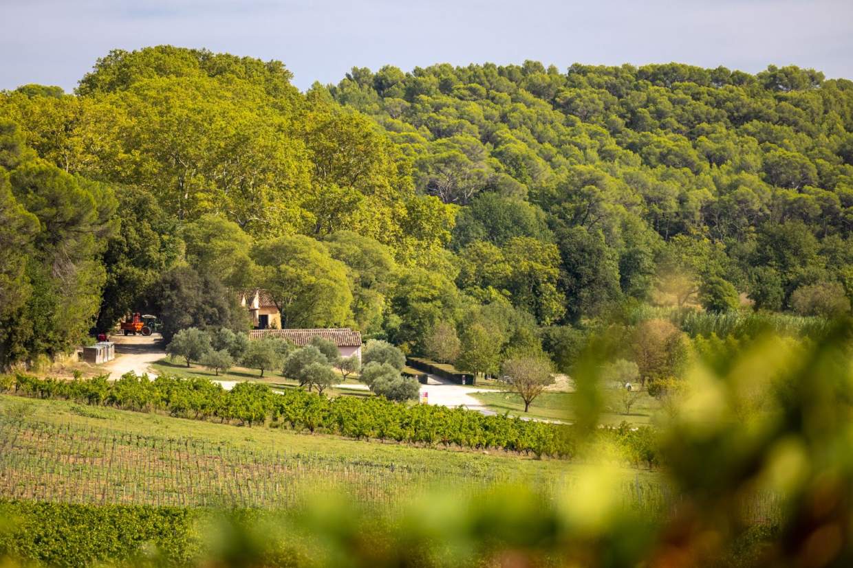 Vue du domaine Château Mentone