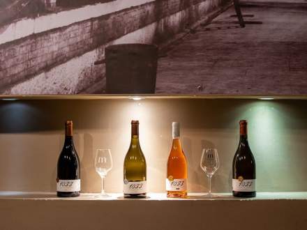 Visite domaine viticole Var