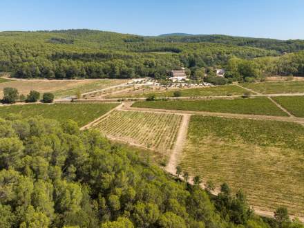 Offrir un coffret cadeau  - Château Mentone