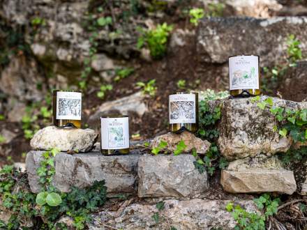 Les Bougies du Vin Chateau Mentone, Domaine Viticole et Maison d'Hôtes Var, Provence