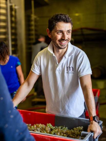 Nicolas vendange, Domaine Viticole et Maison d'Hôtes Var, Provence