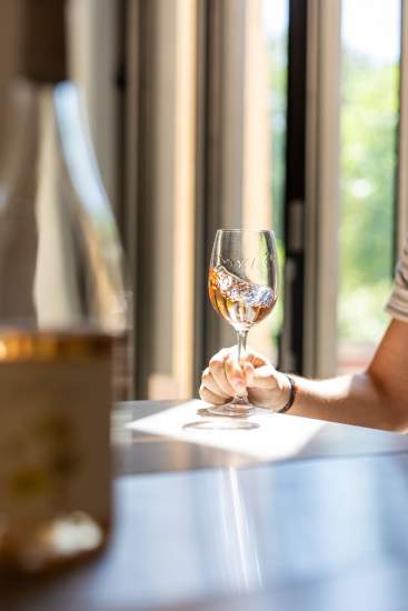 Caveau de Dégustation Vin Biologique, Domaine Viticole et Maison d'Hôtes Var, Provence