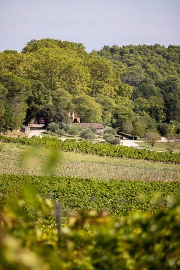 Studiobaalt / Domaine Mentone