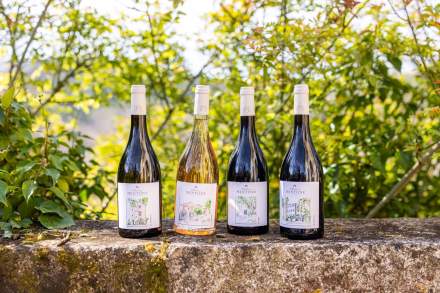 Les Souvenirs, Domaine Viticole et Maison d'Hôtes Var, Provence