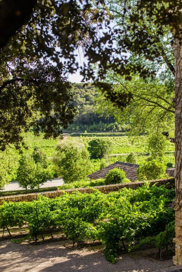Vignes du Domaine, Var Château Mentone