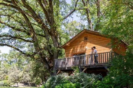 La Cabane de Mentone, Domaine Viticole · Maison d'Hôtes Var, Provence